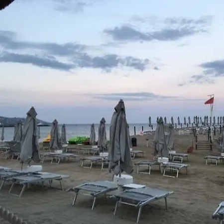 Petit Avec Classe Sanremo