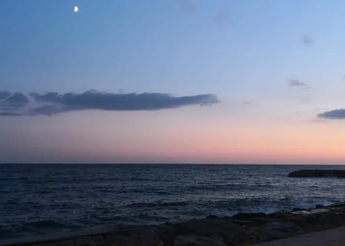 Petit Avec Classe Lejlighed